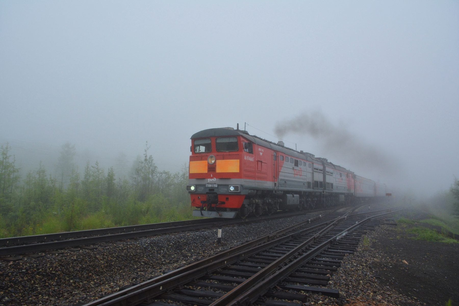 Поезд в тумане. поезд туман