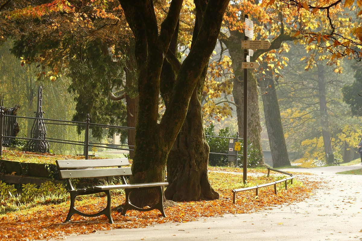 Осенняя скамейка Осень скамейка аллея