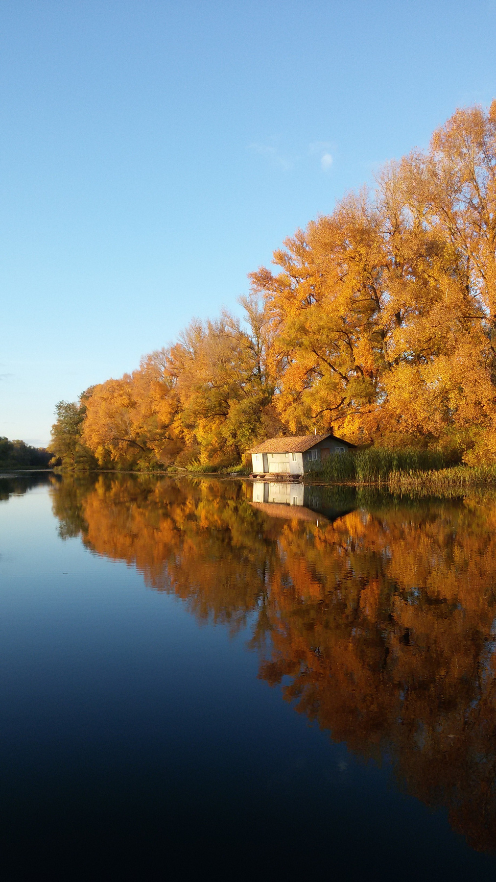 Золотая осень осень река город красивые места