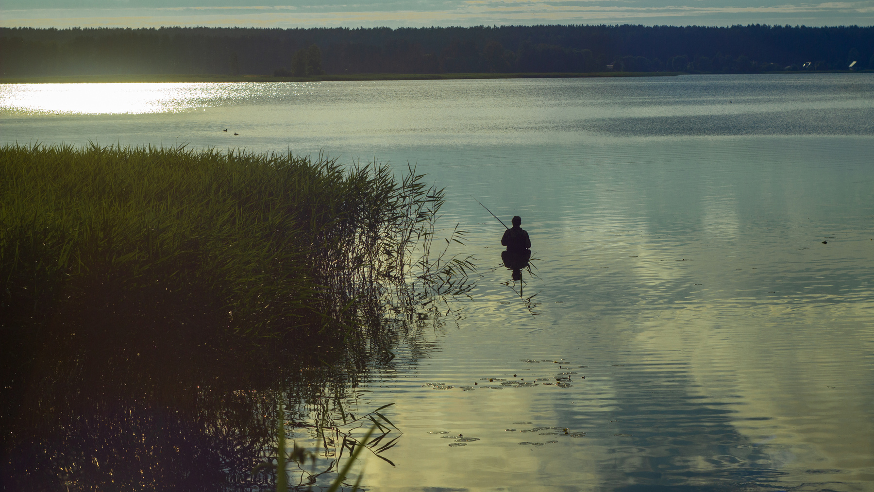 Плеск Озеро лето солнце блики вода рыбак