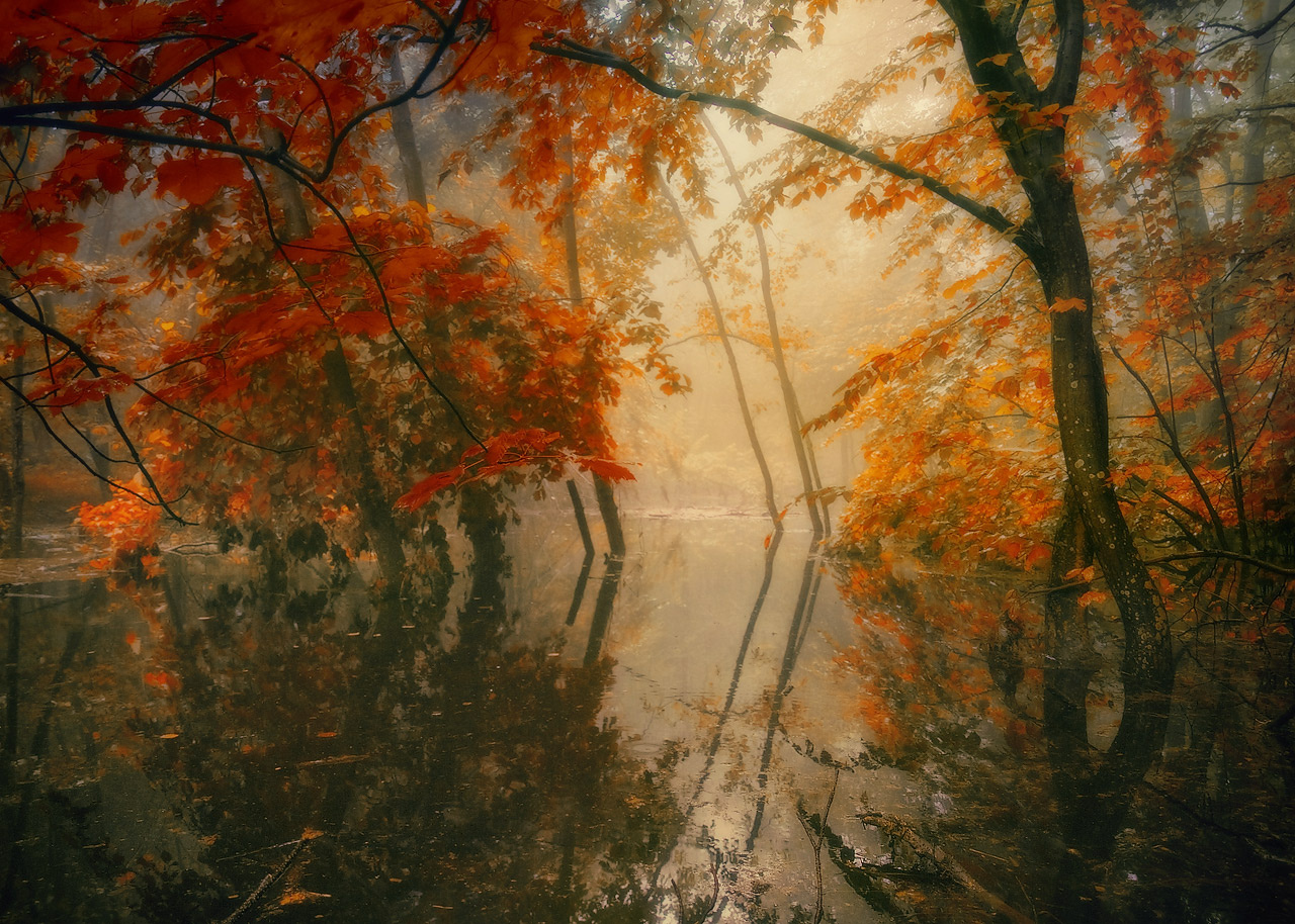 Смотрелась Осень в зеркало осень лес разлив вода отражение