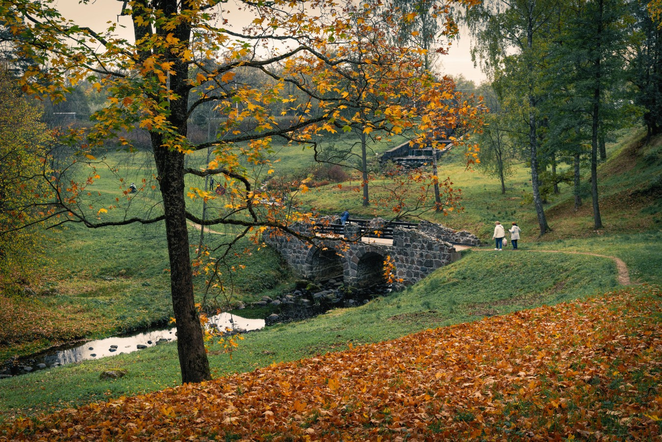 В парке Ораниенбаума петербург ораниенбаум парк осень река мост листва