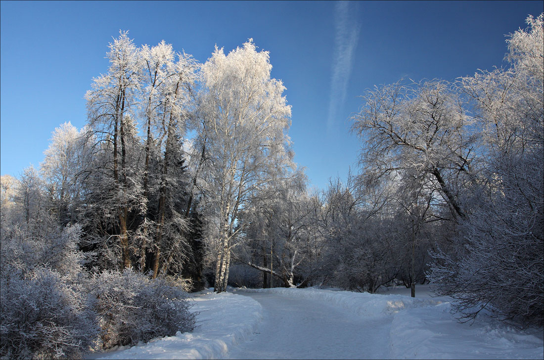 Winter summer. Поры года. Времена года фото. Зимой и летом. Сезон зима.