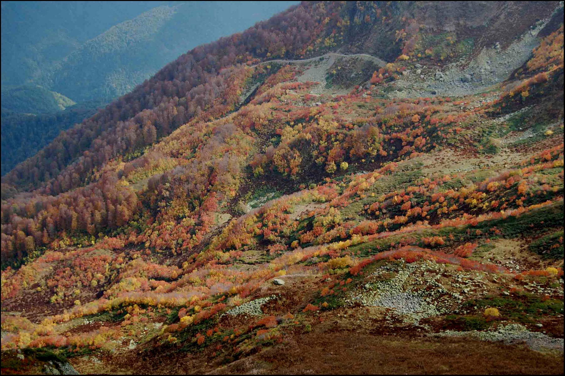 ***Осень в горах 
