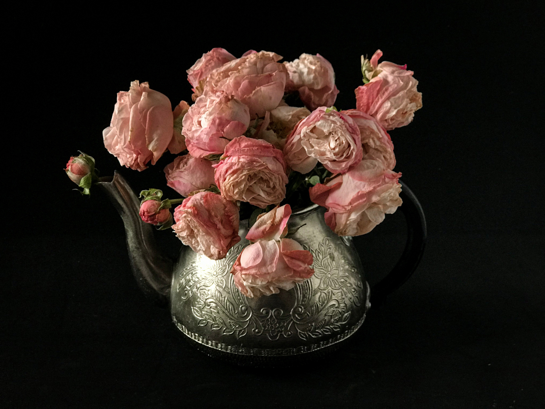 Чайные розы Цветы розы низкий ключ натюрморт