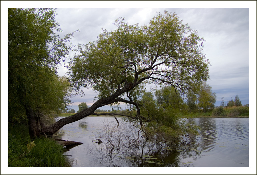 над водой 