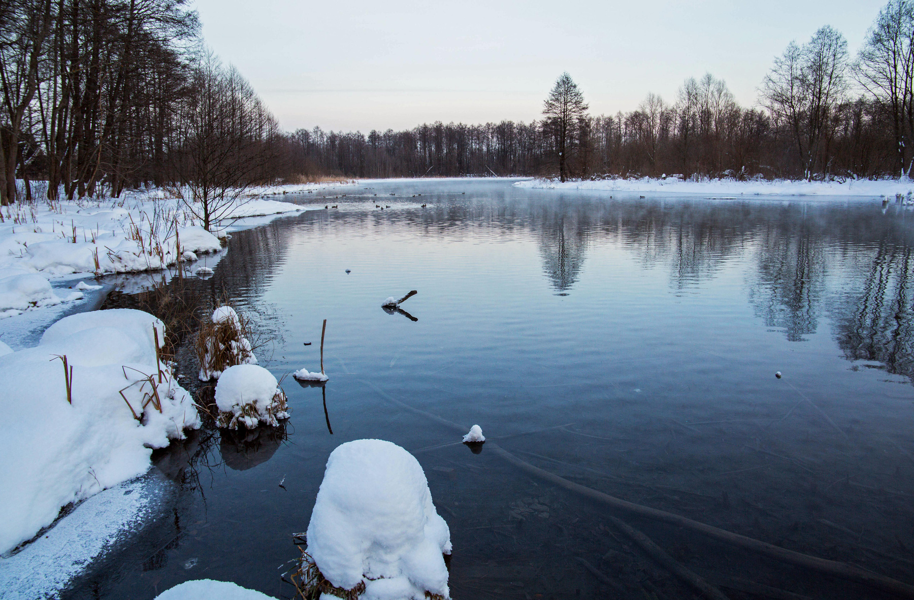 озеро Большое голубое,Татарстан природа пейзаж зима татарстан щербаково озеро большое голубое
