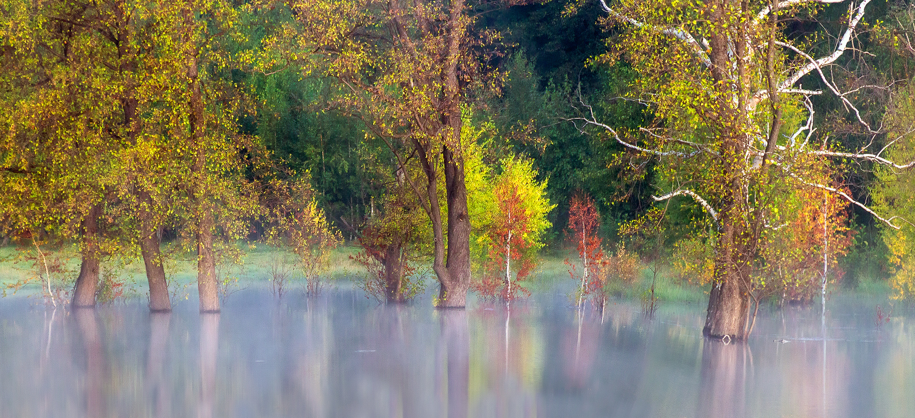 Туманные перспективы Осень пейзаж природа утро рассвет
