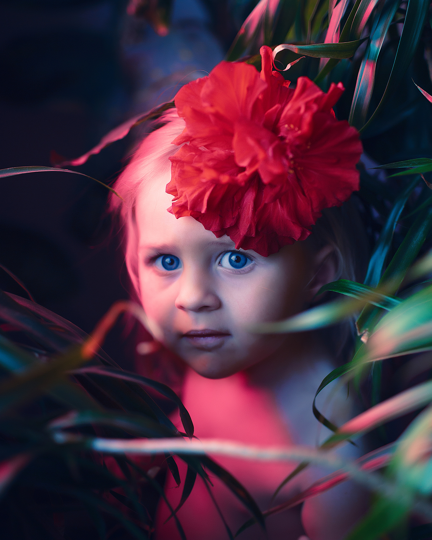 Книга джунглей девочка цветок джунгли красный синий глаза