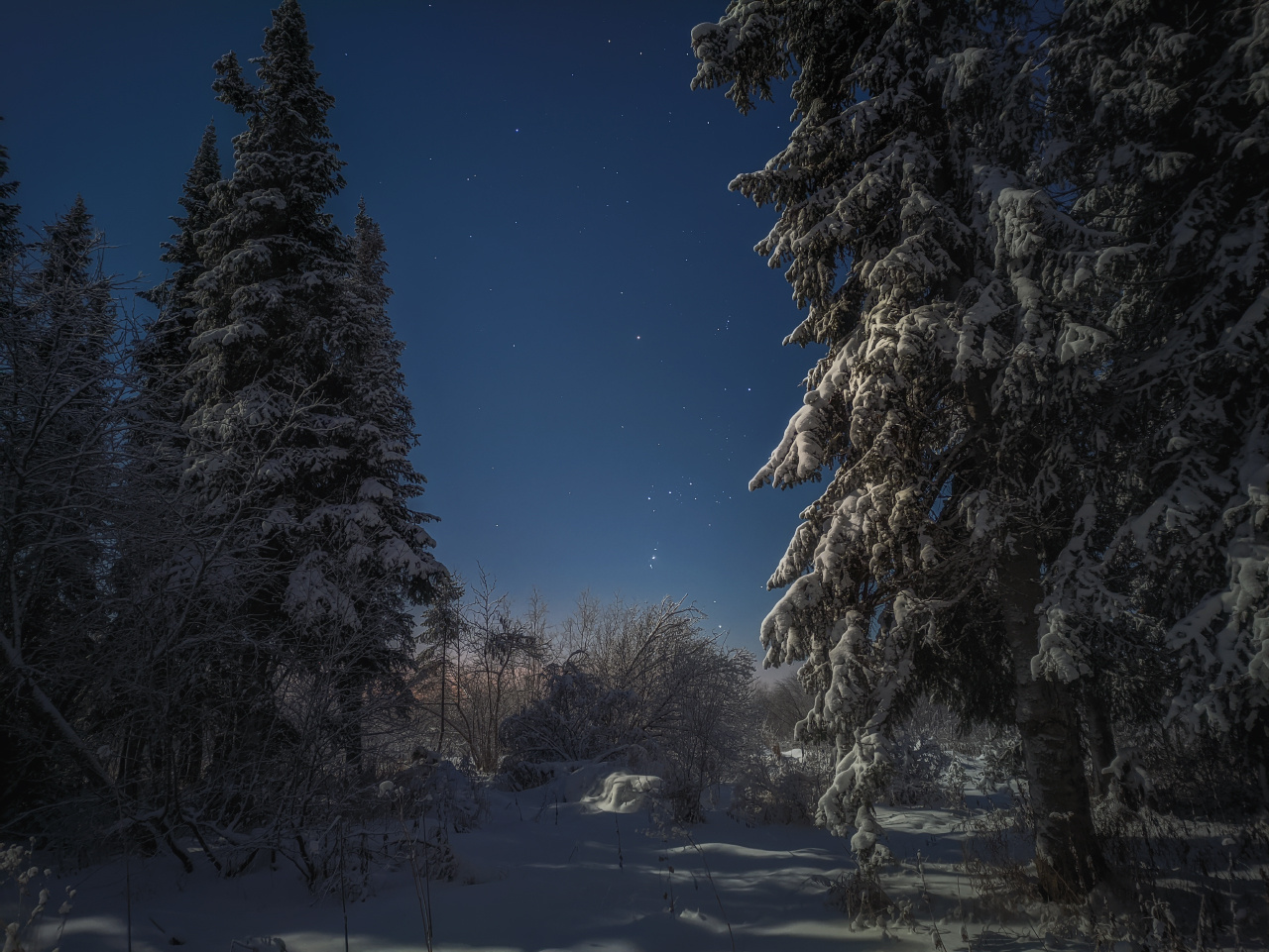 Орион в ночном лесу Печора Коми Мороз