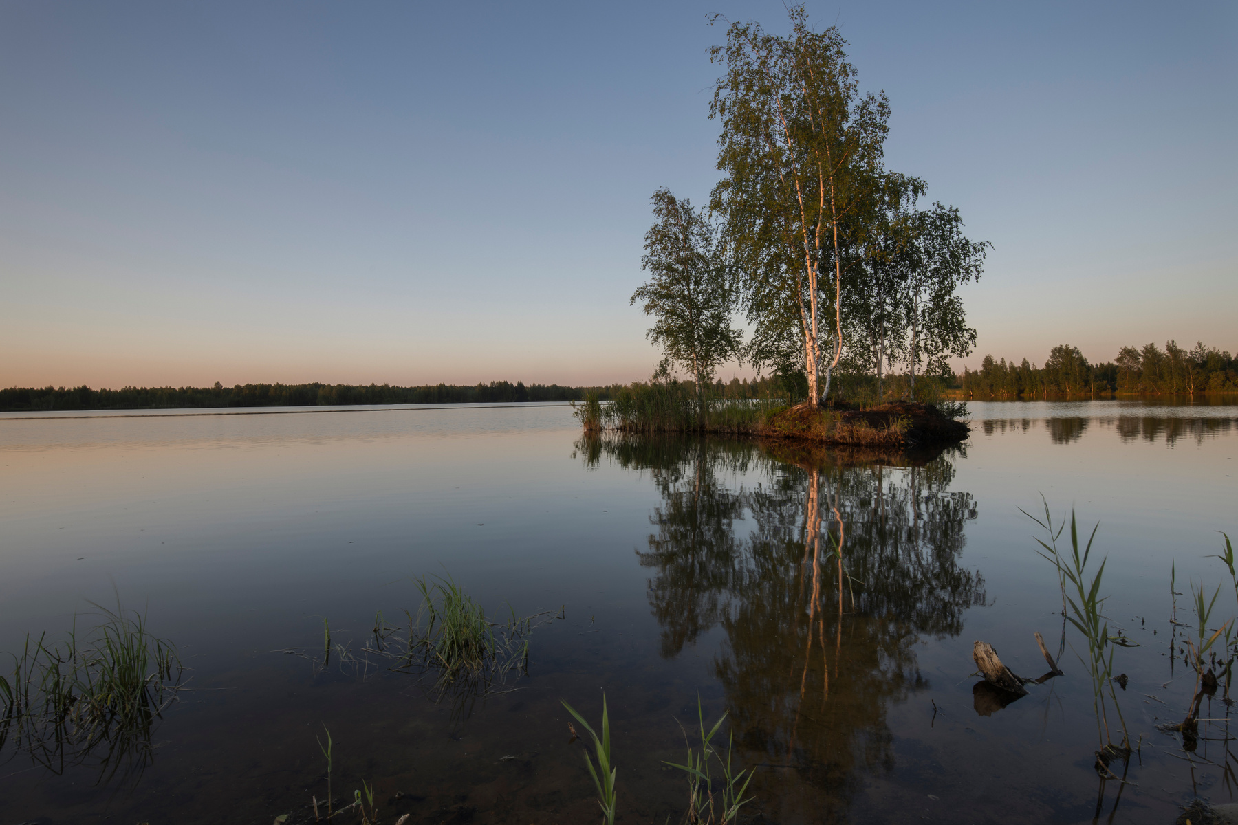Маленький остров в догорающих лучах уходящего солнца Ярославль озеро закат березы остров