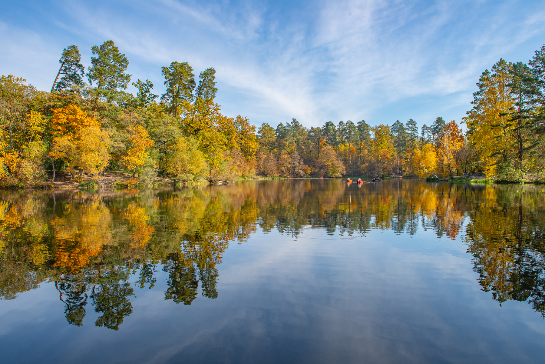 Осень в Пуще... лес осень озеро деревья листва