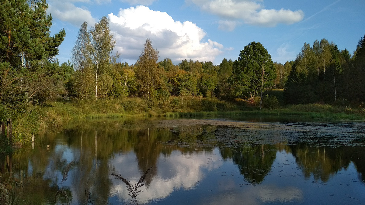 *** осень природа пейзаж Россия небо озеро лес