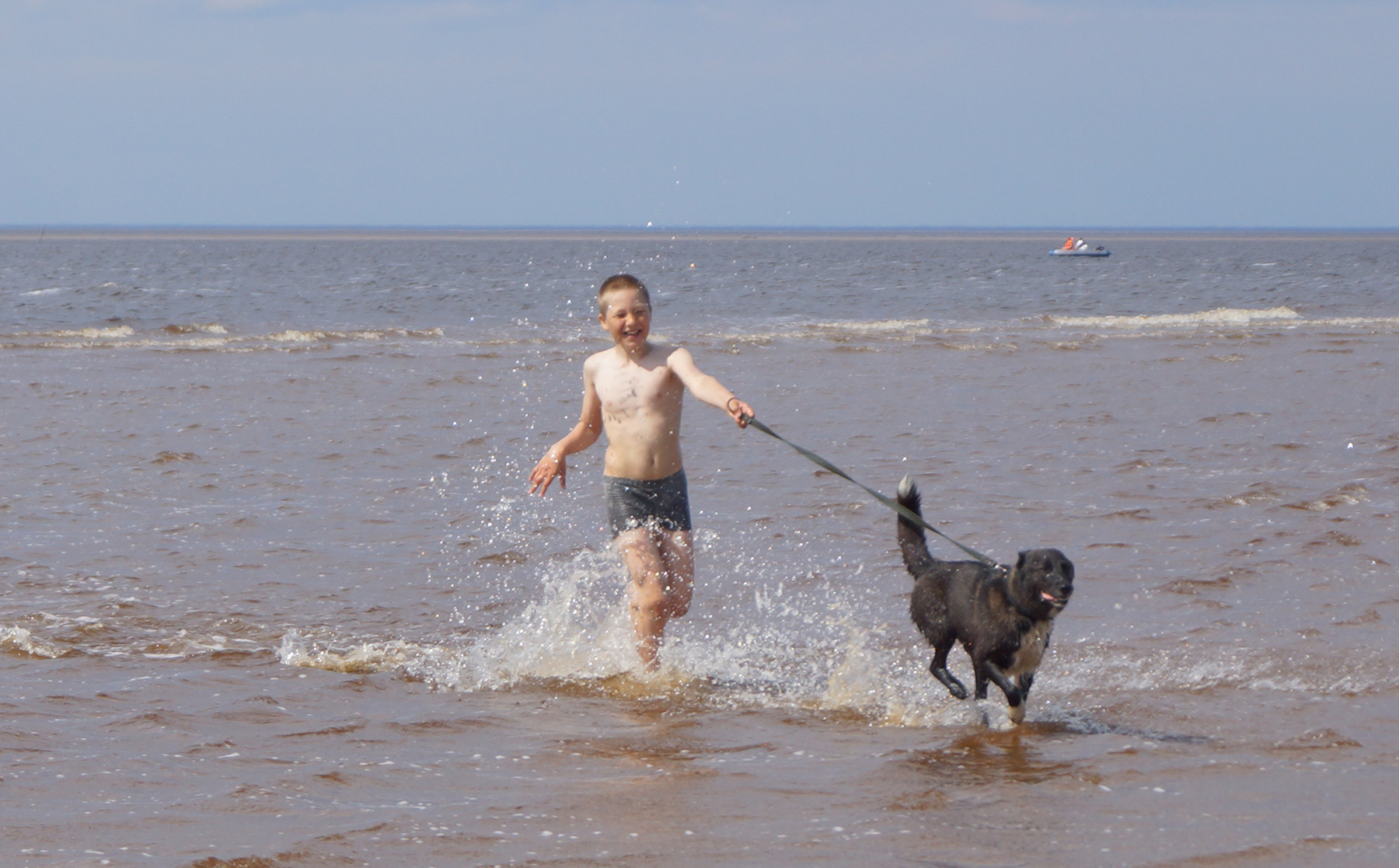 Лето пришло!!! ягры.белое море.мальчик с собакой.северодвинск.лето