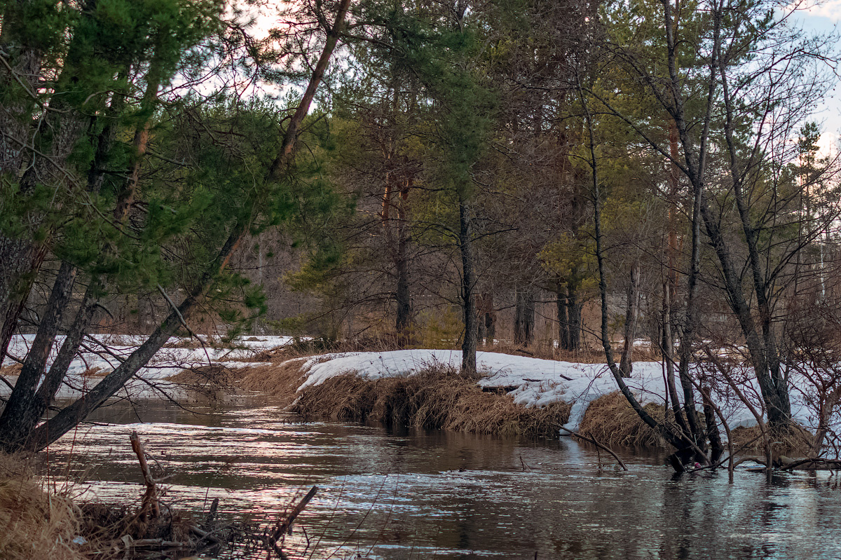 река Номжа номжа река природа пейзаж вид вода весна половодье