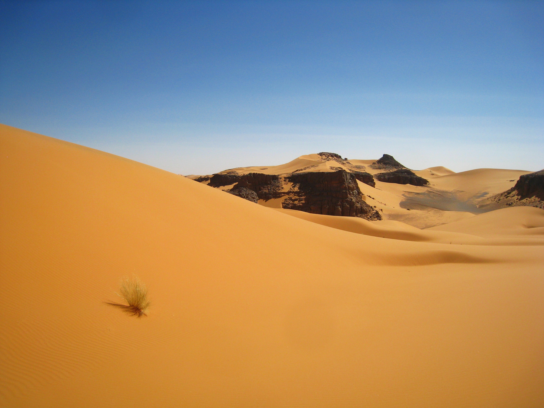Травка, нагорье Тадрат, Сахара. Алжир пейзаж скалы