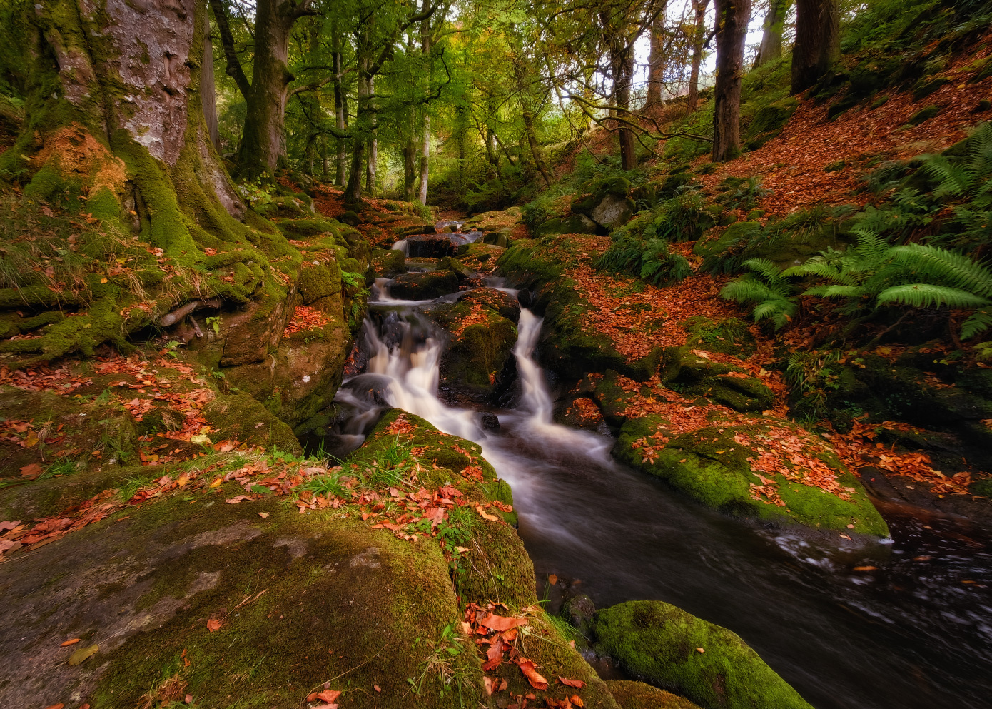 ...Cloghleagh creeks... ireland wicklow national park cloghleagh long exposure nature outdoors mysterious fairy tail scenic scenery wood forest water creek stream rocks stones moss europe picturesque spectacular