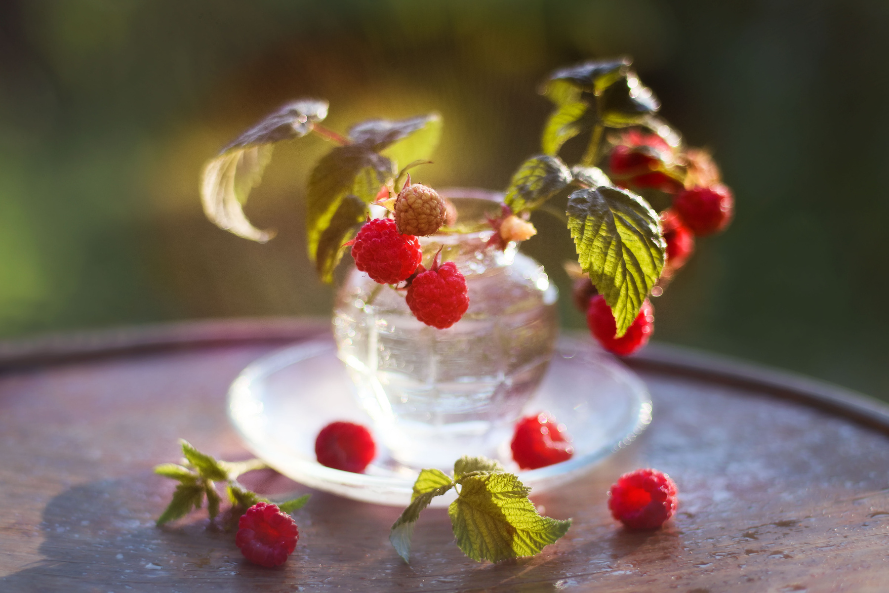 Малинка Июль ягода малина урожай аромат лето вкусно свет солнце закат