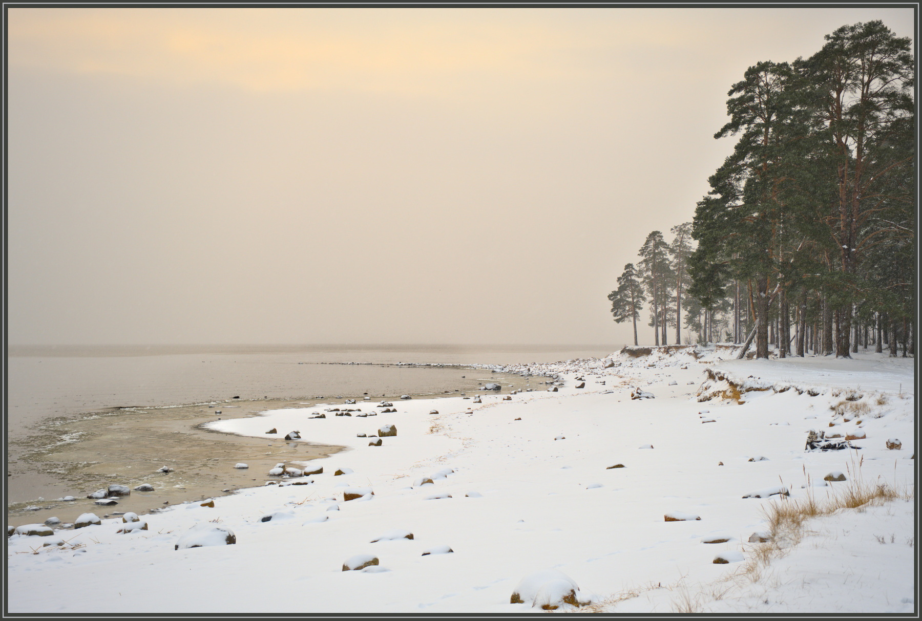 Море солнцестояния (1) море зима финский залив