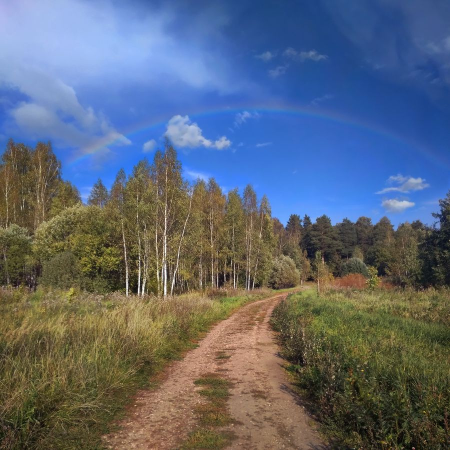 Добрый знак дорога лес радуга
