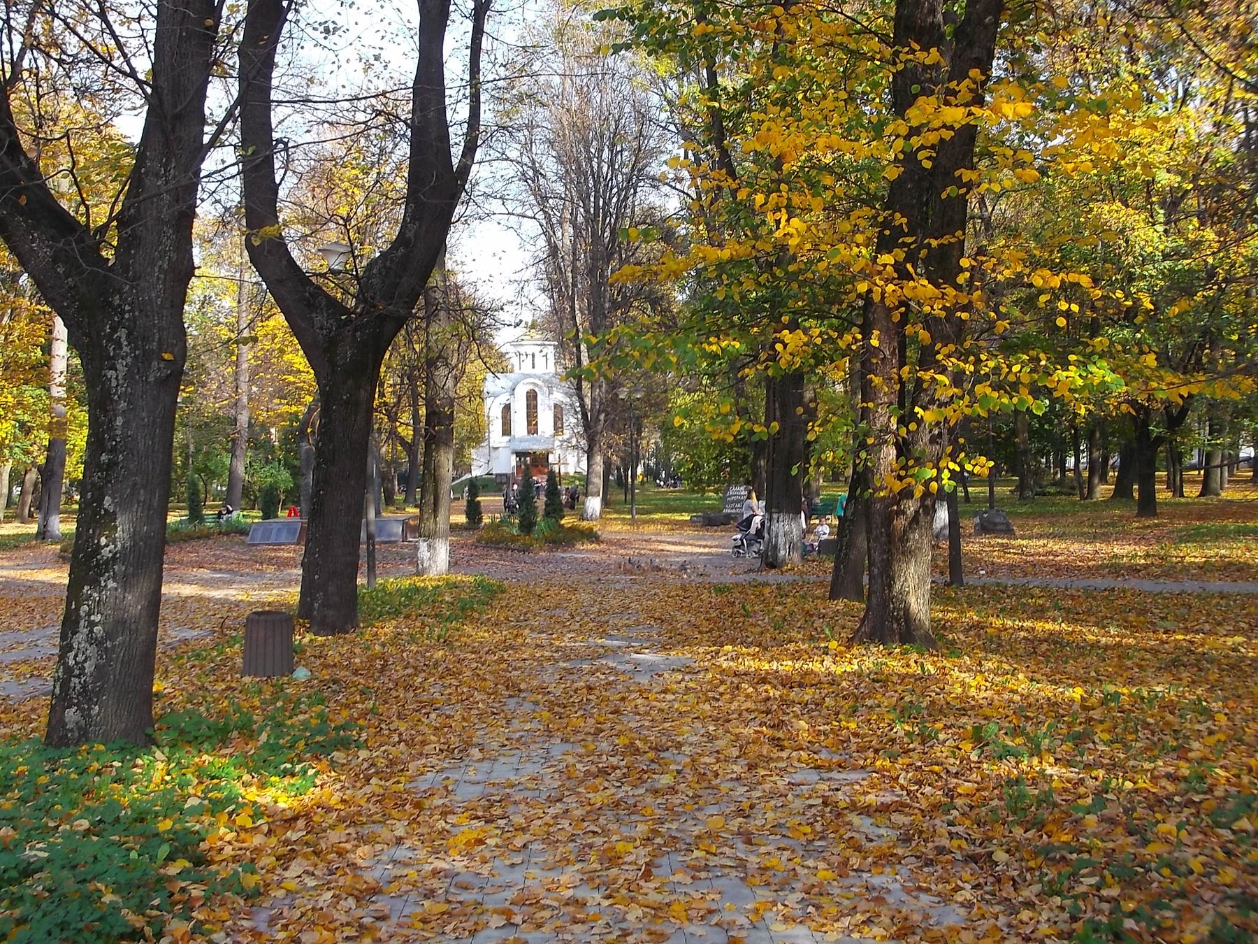 ***Осень   в   Ивано - Франковске осень Ивано-Франковск Украина