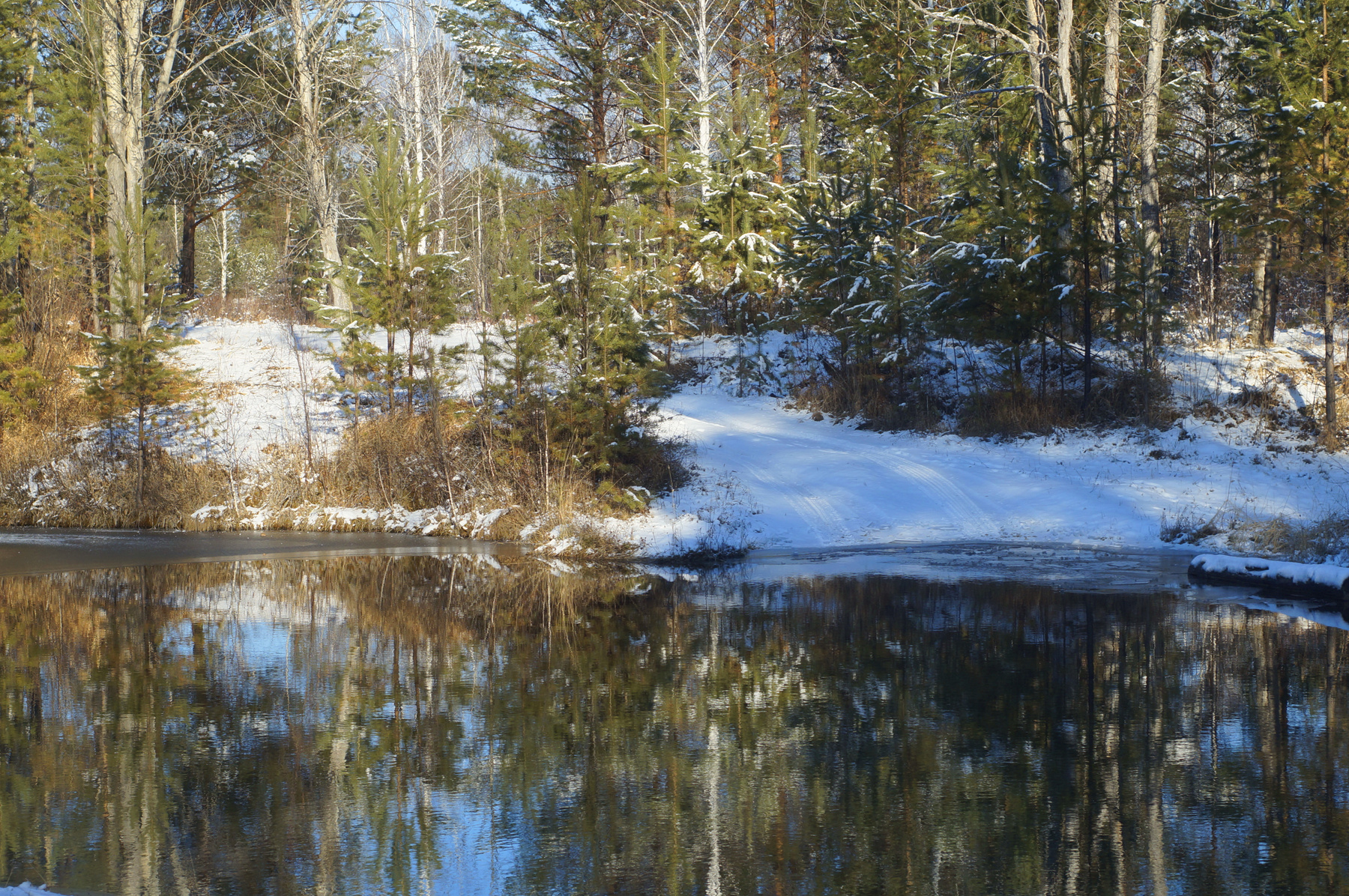 У нас зима речка вода снег лес деревья