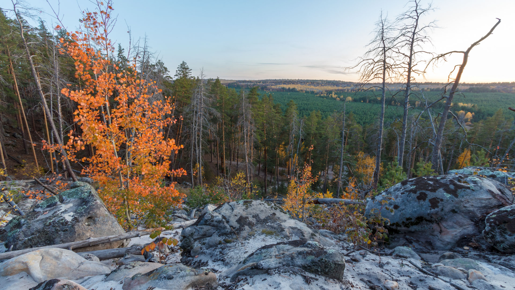 Каменный лес осень лес закат Солнце