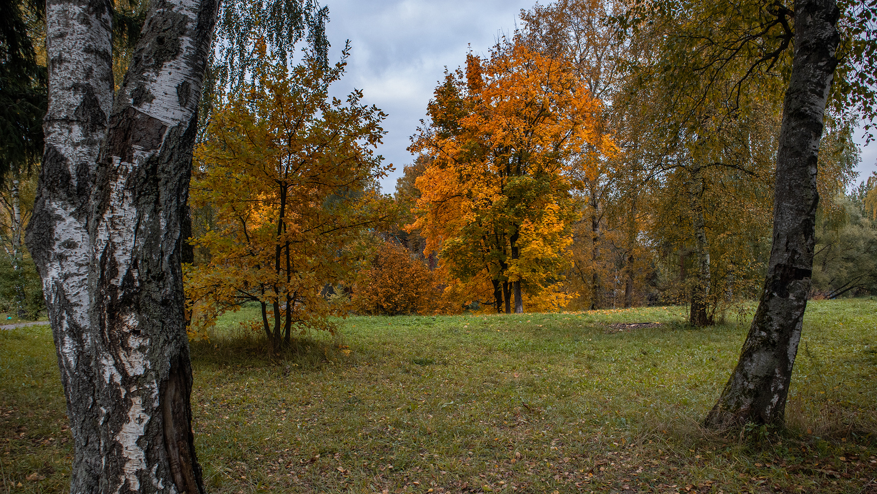 Осень Зеленоград