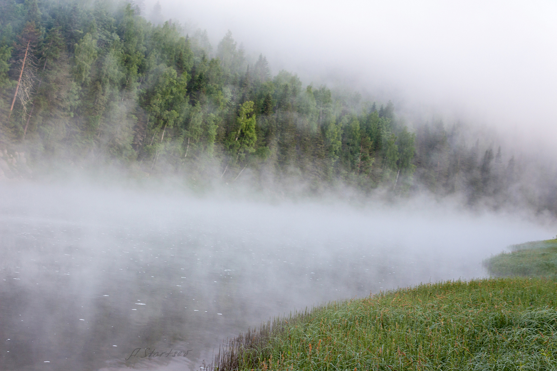 Туманное утро на Чусовой река Чусовая лес Урал Пермский_край пейзаж природа утро туман