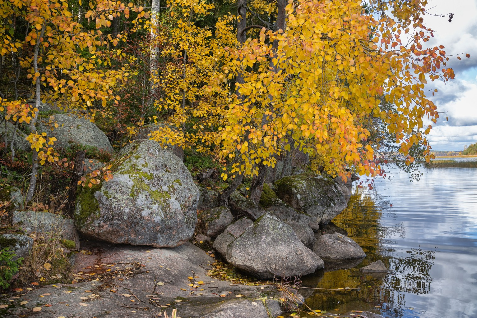 Осень в Монрепо (2). выборг осень монрепо парк скалы пейзаж