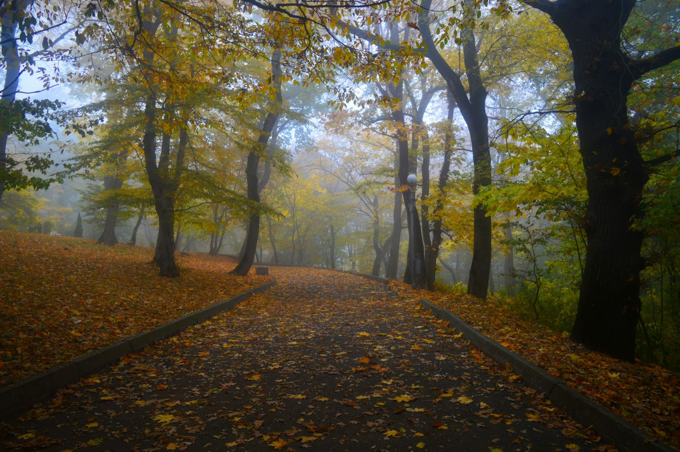 В парке осеннем тихо падали листья......... 