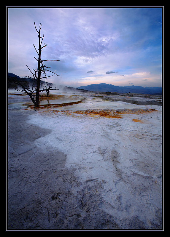 Dead Land. Canary Spring Mammoth Hot Springs Yellowstone