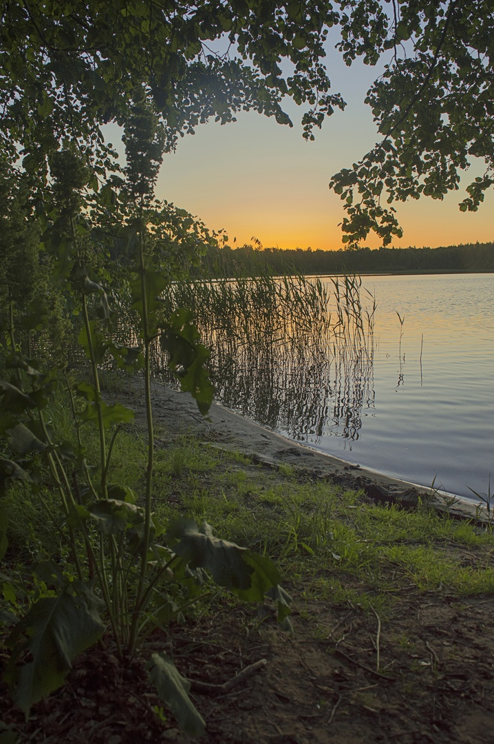 Закат на озере Сегденское Рязанская область оз Сегденское деревья закат вода