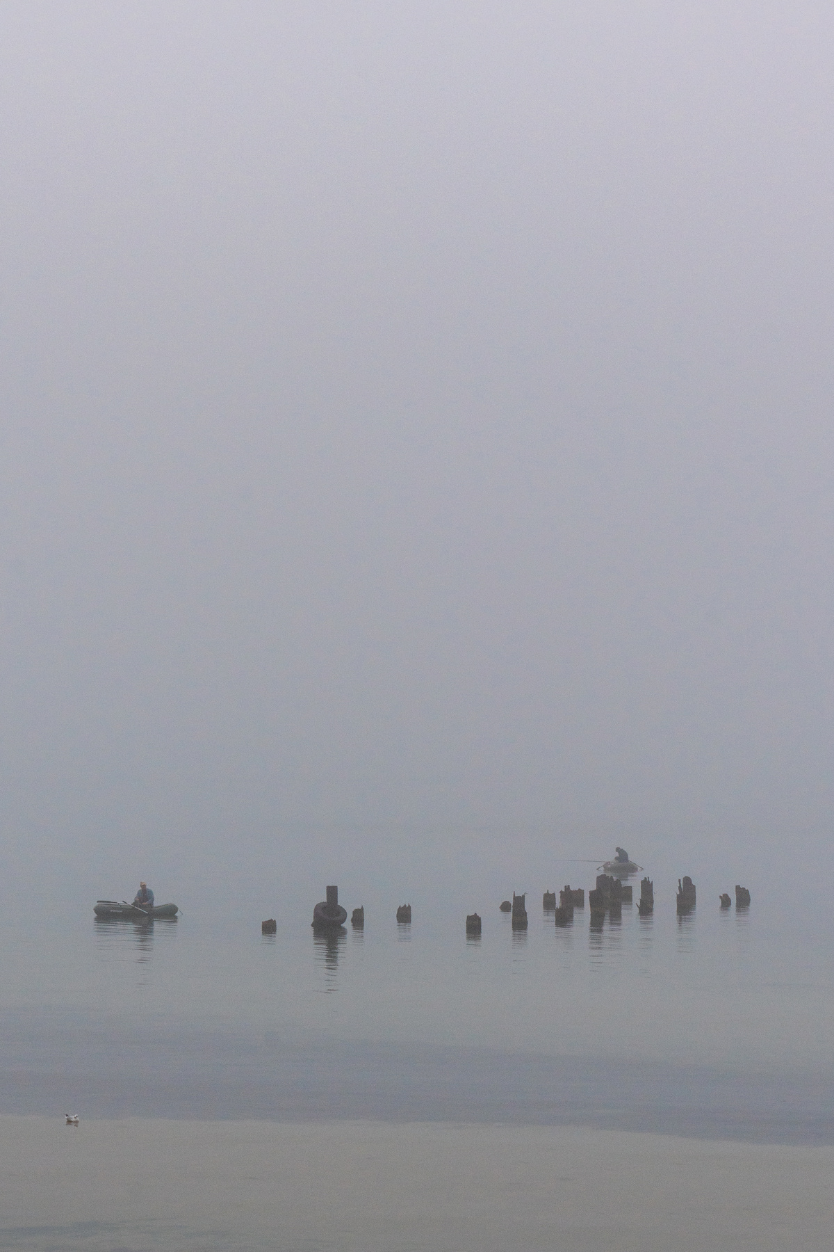 *** туман утро рыбалка лето
