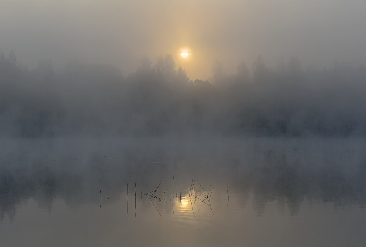 С добрым утром, друзья! утро рассвет туман озеро