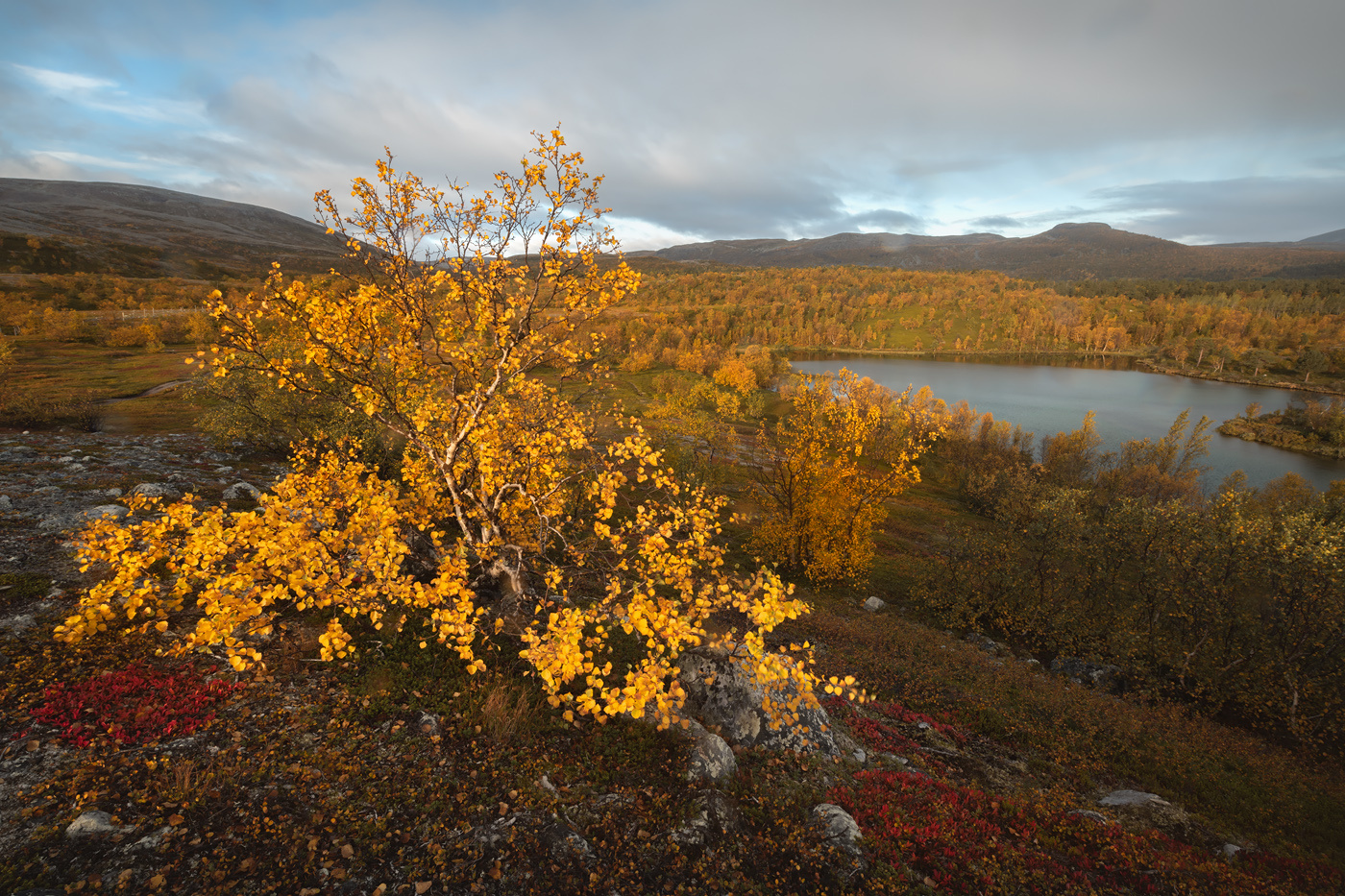 "Заполярная осень" Стаббурсдален финнмарк Норвегия золотая осень север