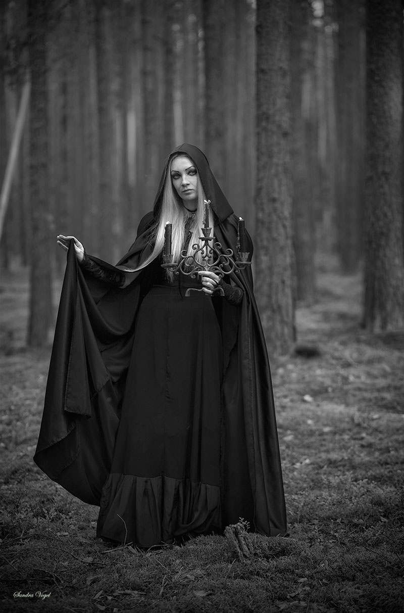 Forest witch Forest witch лес ведьма