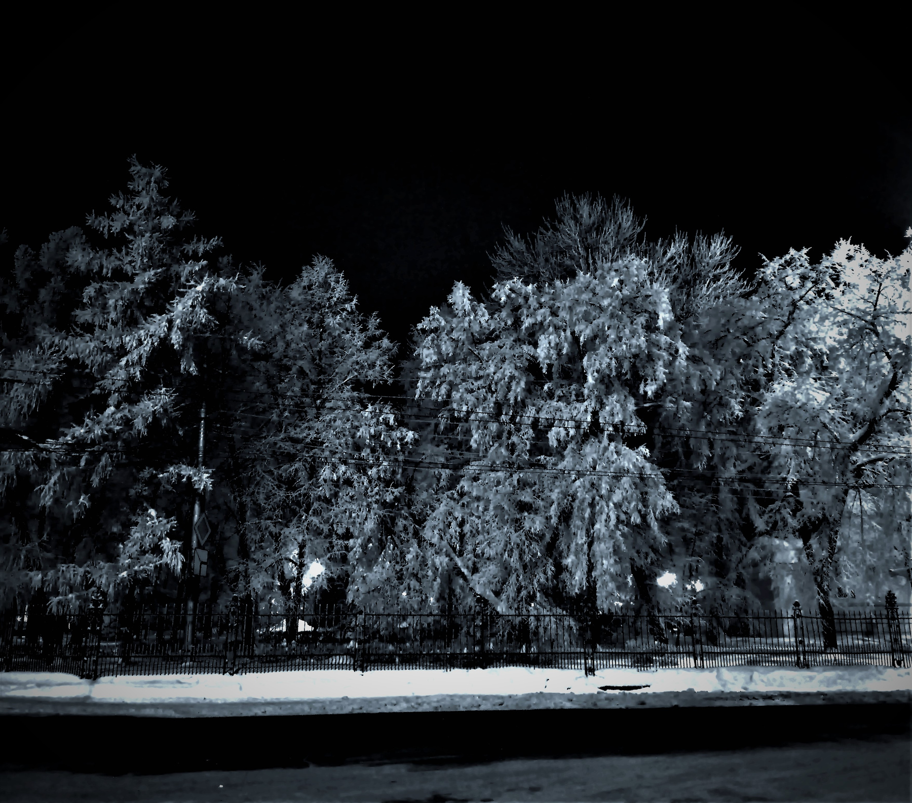 Ночной парк. 