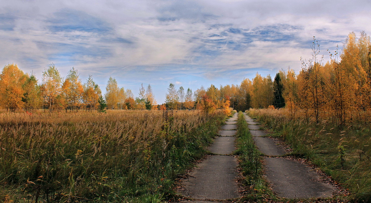 Дорога в Осень 