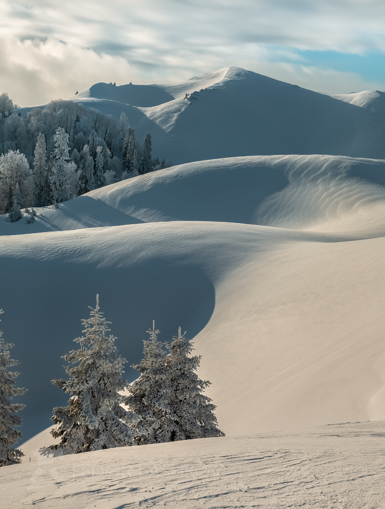 Гора Мамдзышха Абхазия путешествие горы зима лес в горах Мамдзышха пихта снег узоры склоны снегу линии Кавказ