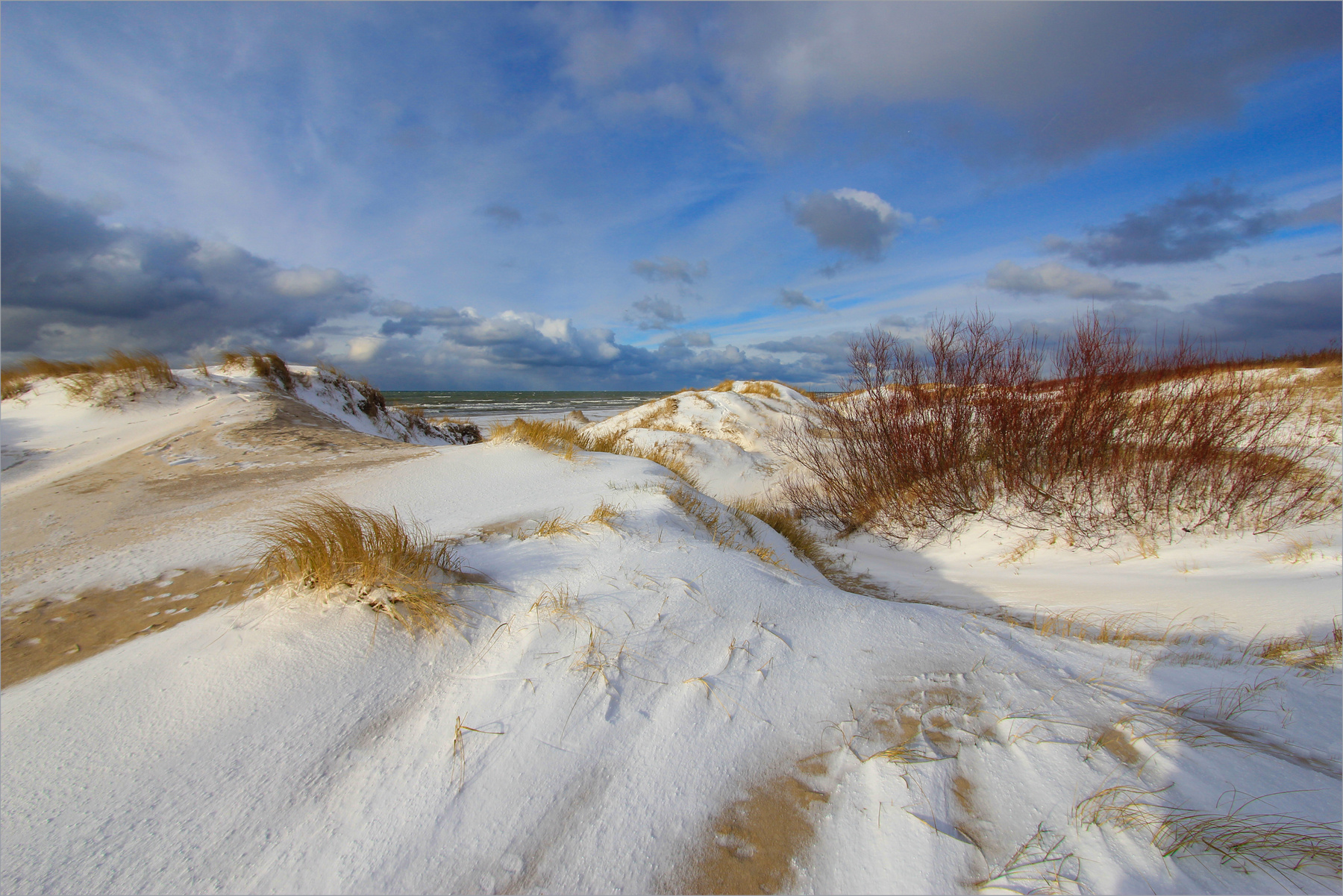 Зимний пляж II. 