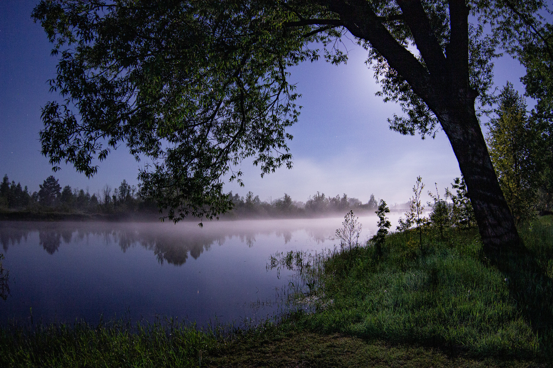 Ночной туман у реки туман река свет луна тень дерево ночь