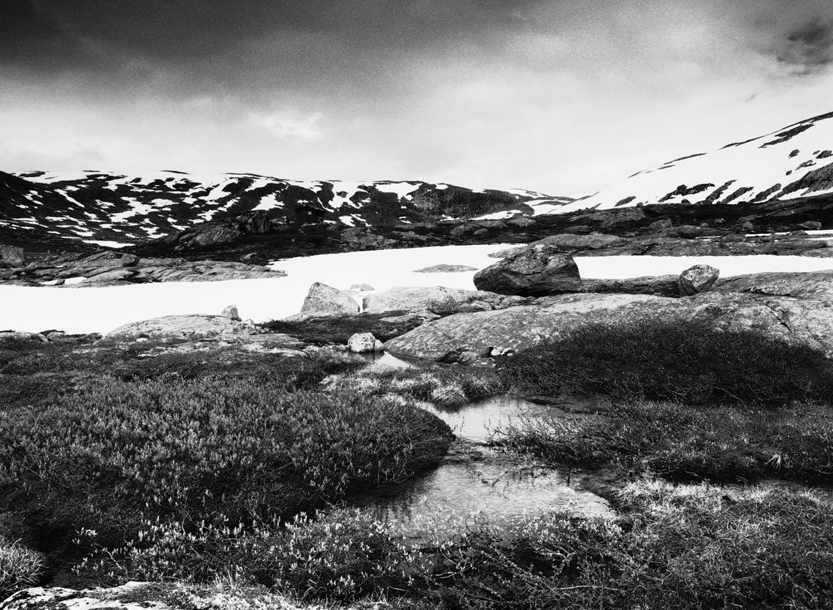 *** Norway. Tmax-400.