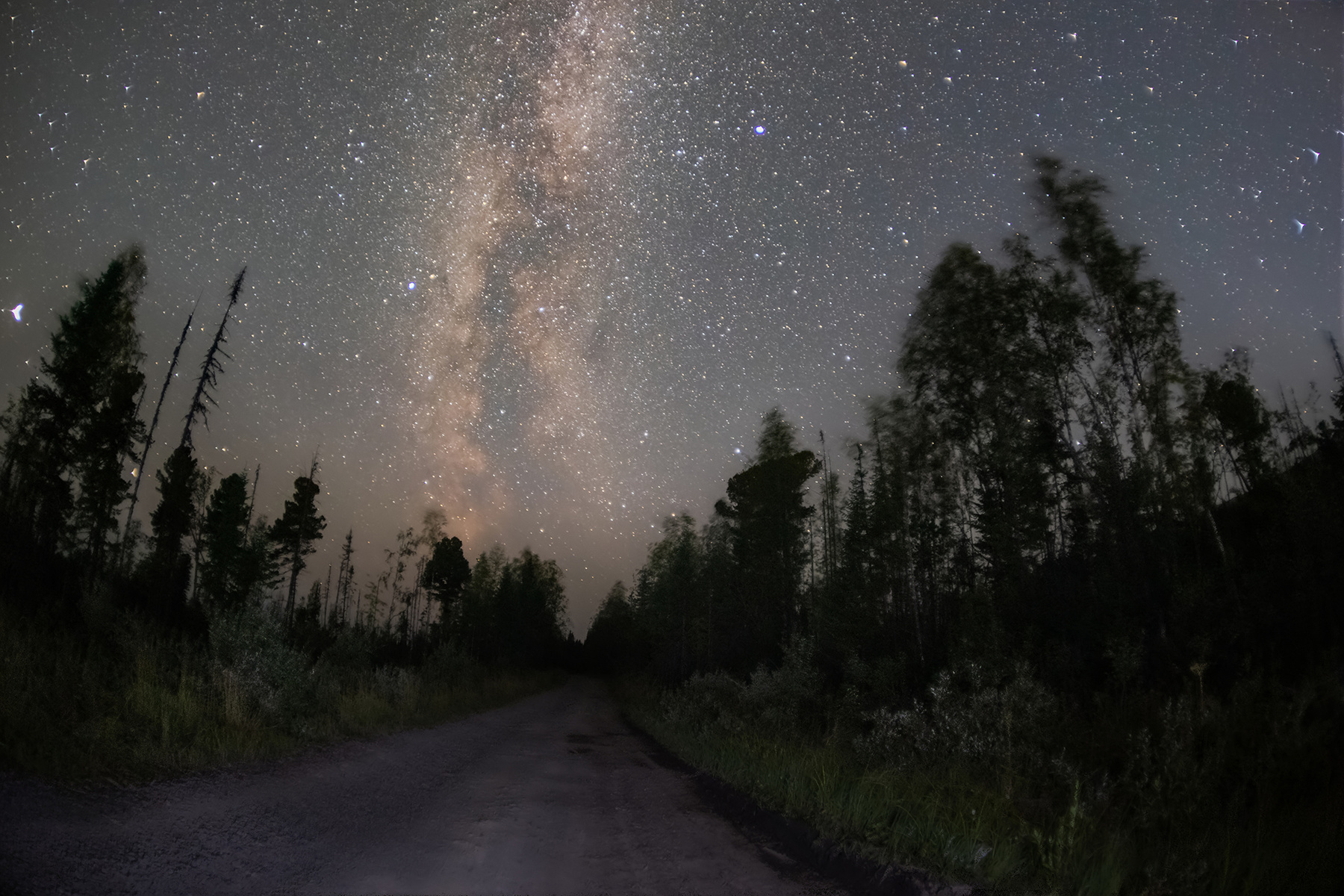 Звёздное небо Урал туризм природа пейзаж ночь небо звезды лес дорога