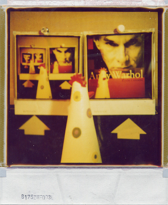 \"Images Are Worth Repeating\" (L. Reed) polaroid sx-70 pop art warhol qrczak