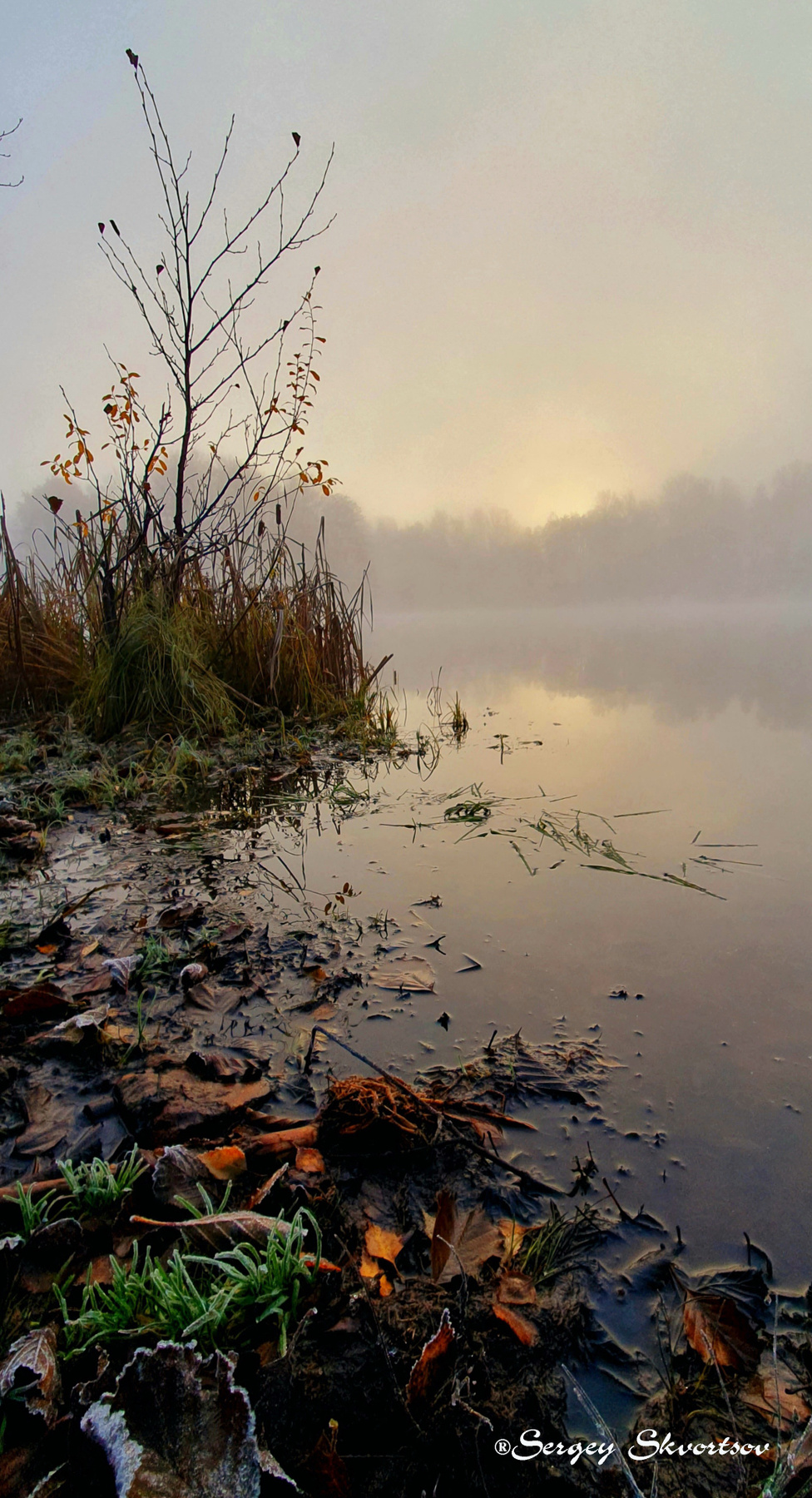 Осеннее утро Осень туман озеро