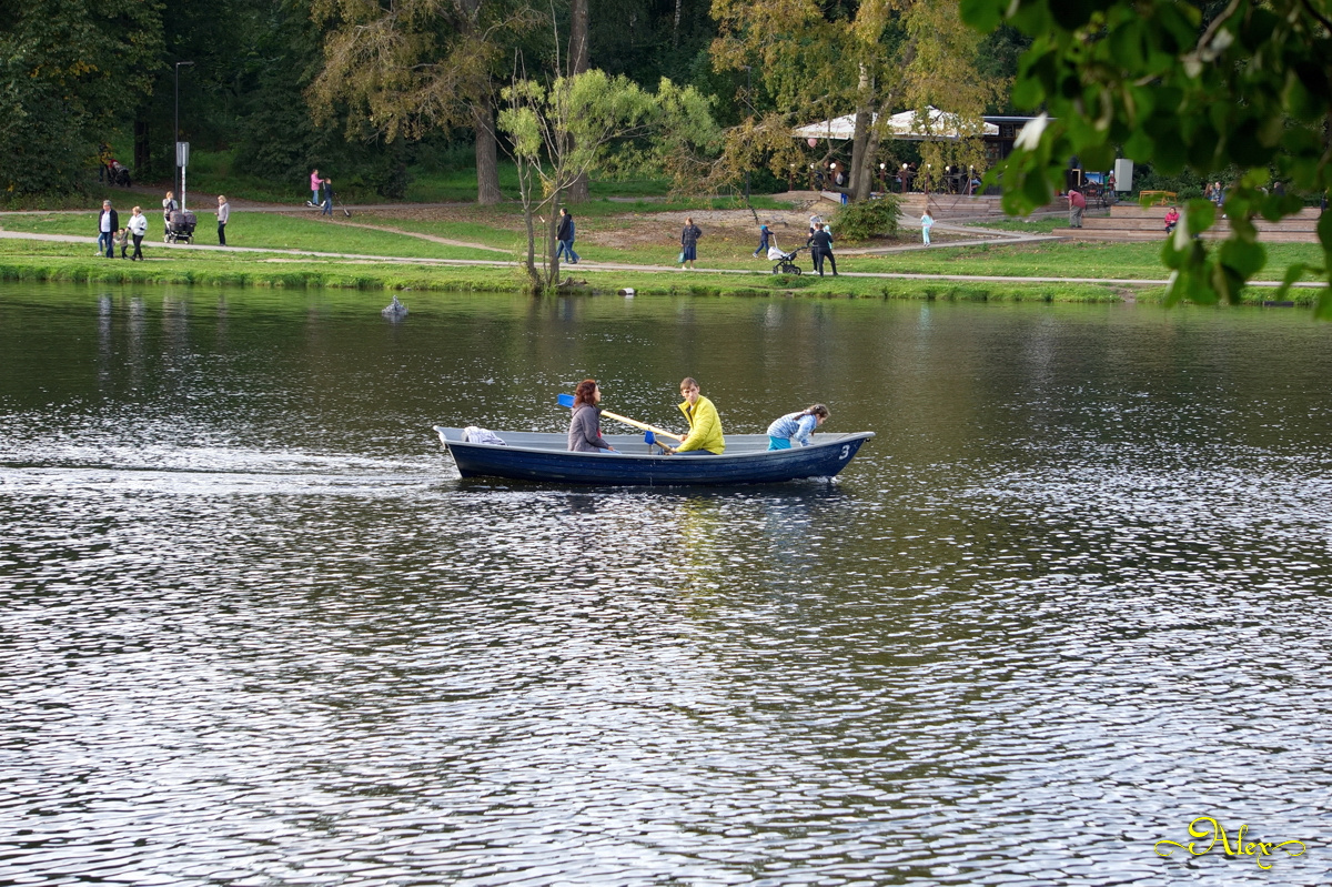 Прогулки на воде пруд парк Кузьминки лодка люди природа