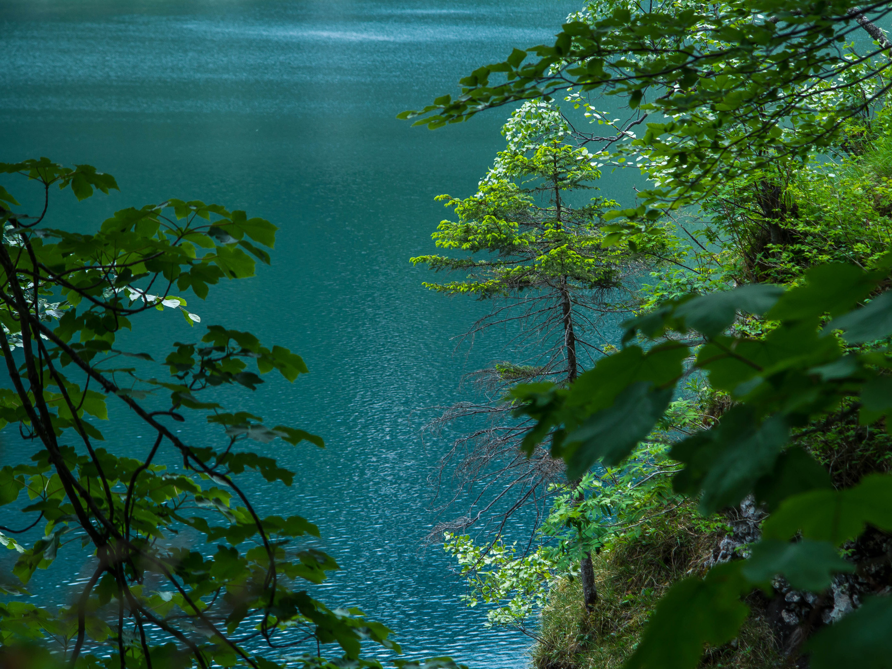 Китайский шелк. Озеро Австрия