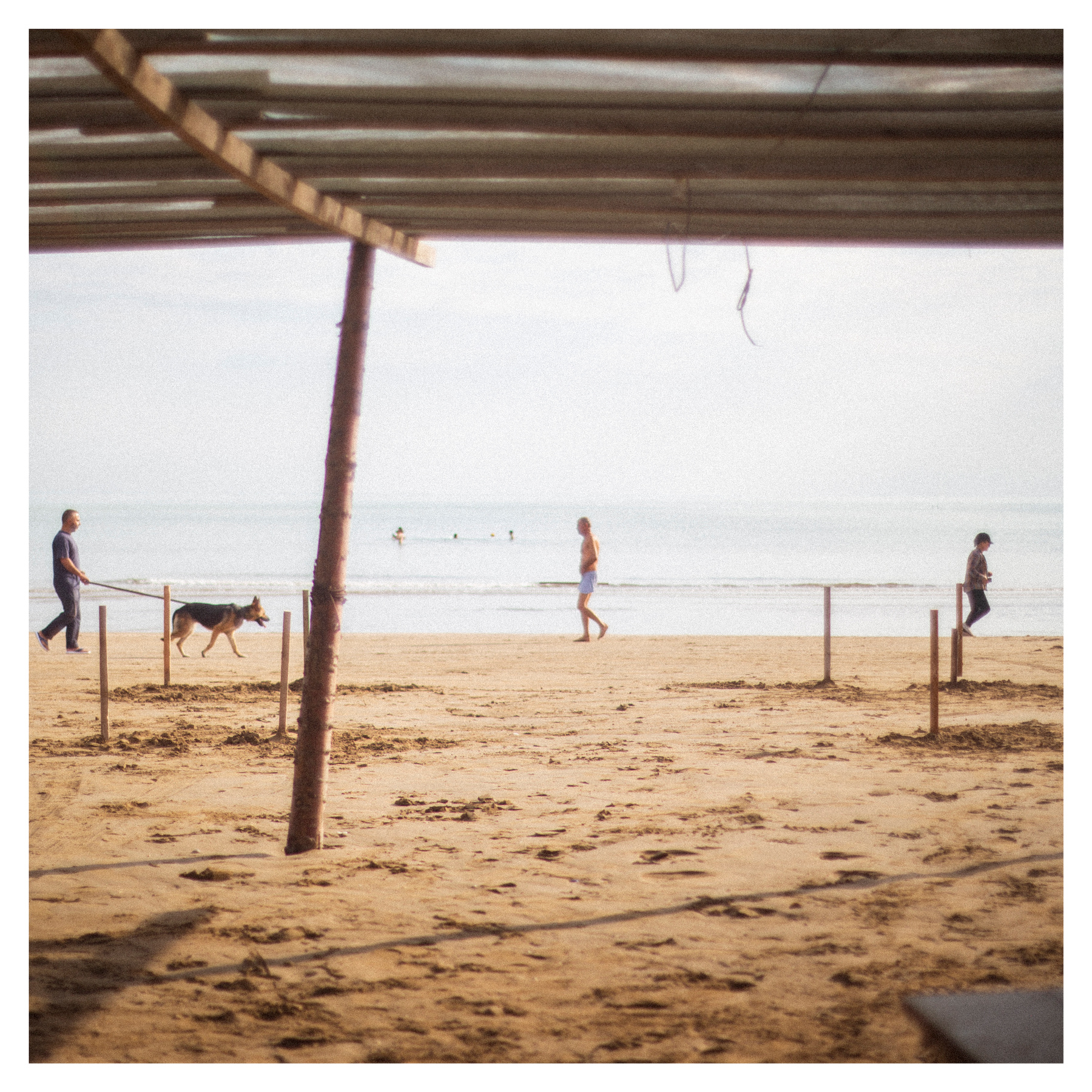 Бег трусцой пейзаж бег собака море пляж люди женщина мужчина спорт песок загар воздух отдых