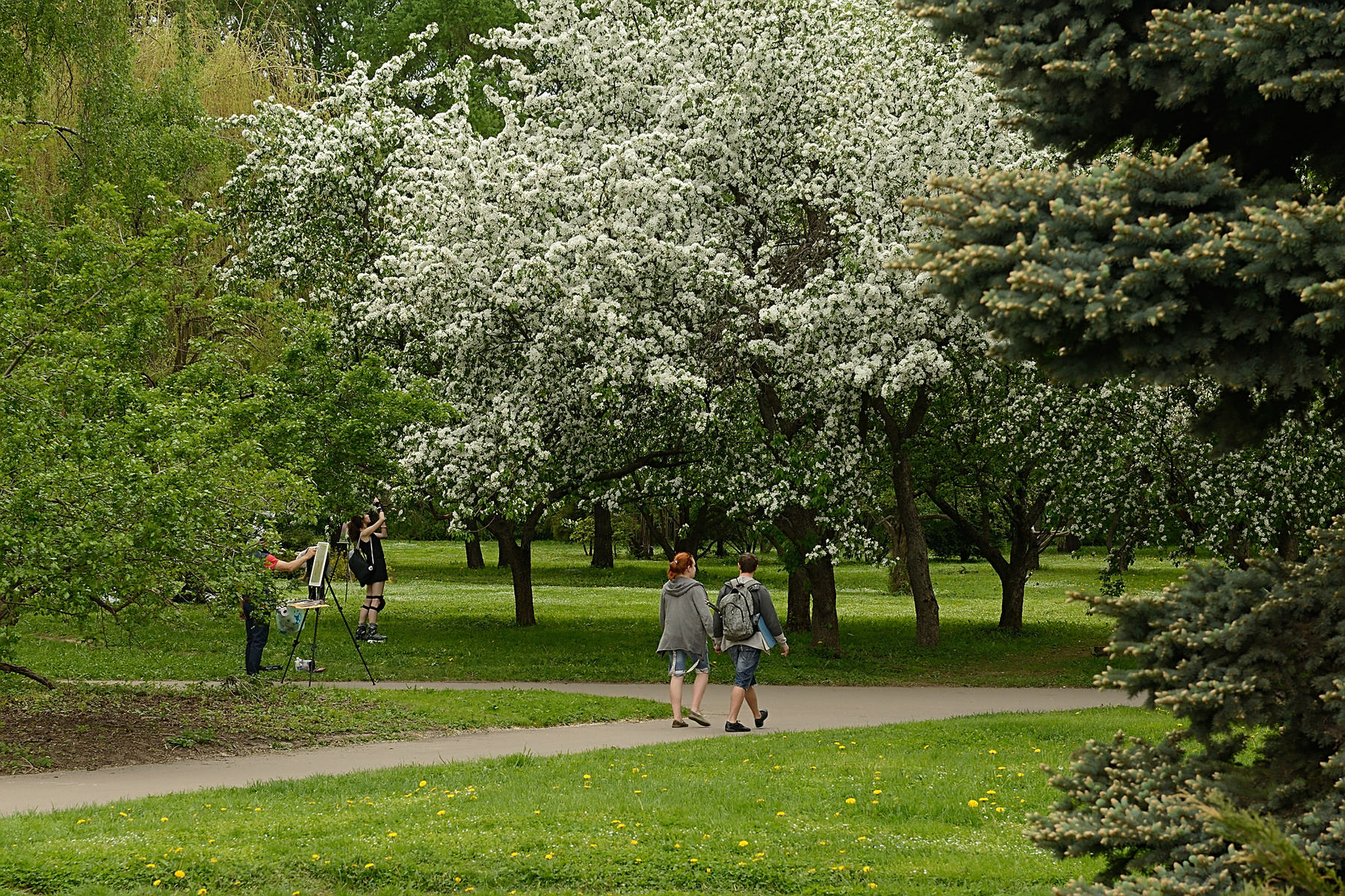 Весна в Ботаническом саду Россия Москва ботанический сад май